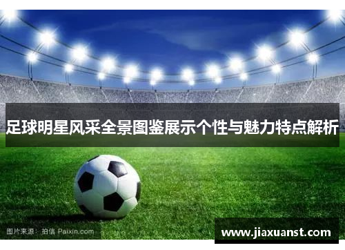 足球明星风采全景图鉴展示个性与魅力特点解析